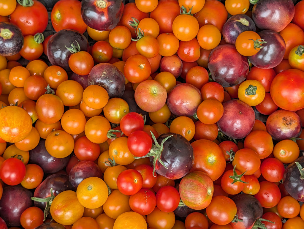 Cherry Tomato Medley