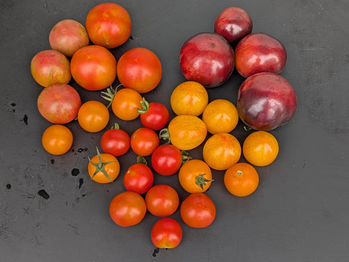 Cherry Tomato Medley