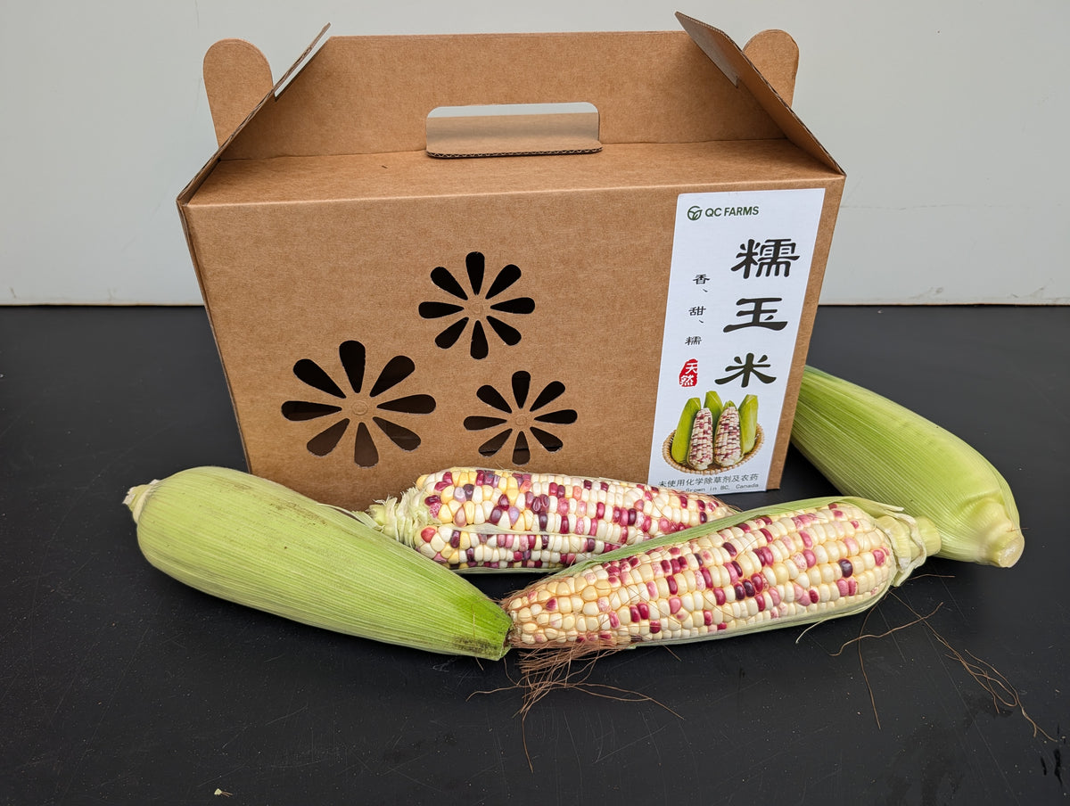 Waxy Corn 12-Pack Gift Box