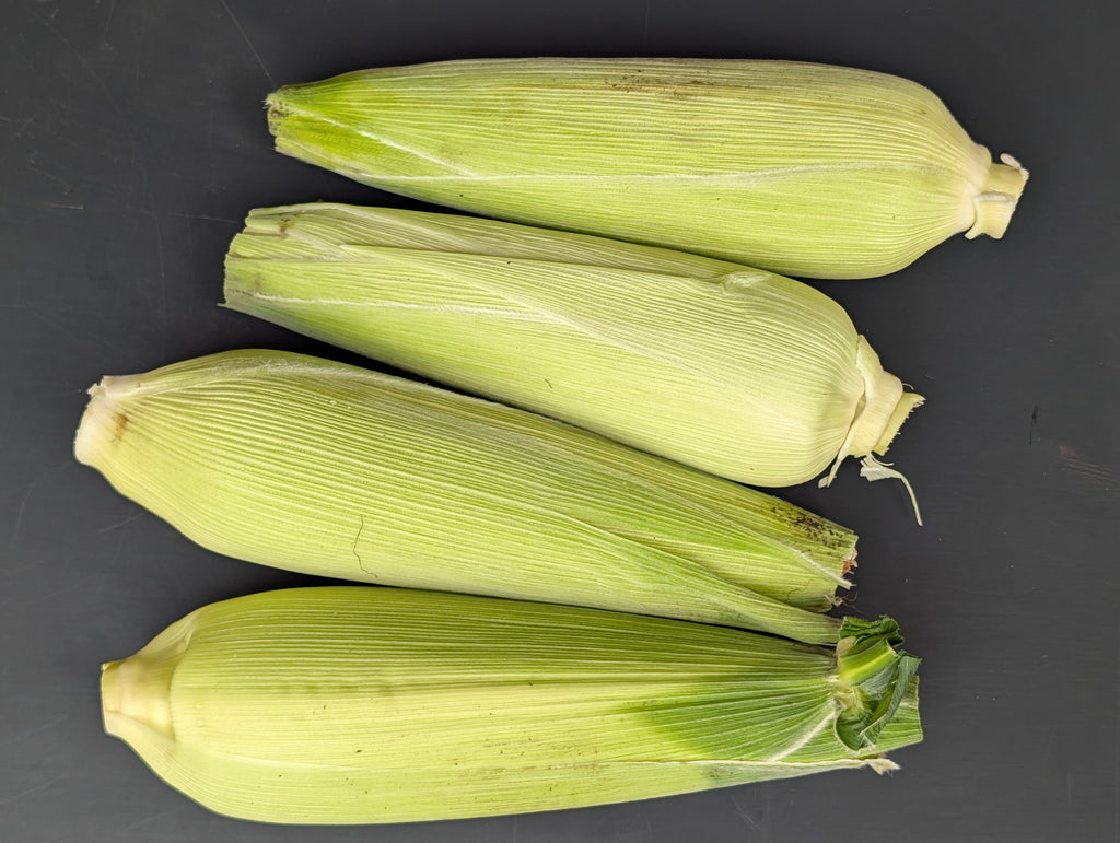 Waxy Corn 12-Pack Gift Box